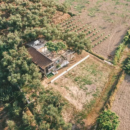 منزل ريفي The Mills House *